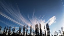 Cirrus fibratus clouds in March Cirrus-fibratus.jpg