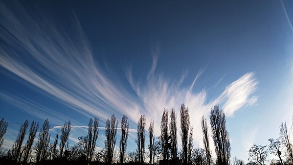 Cirrus fibratus clouds in March