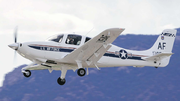 Cirrus T-53A in flight