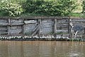 Collapsing wharf on the River Weaver - geograph.org.uk - 804475.jpg