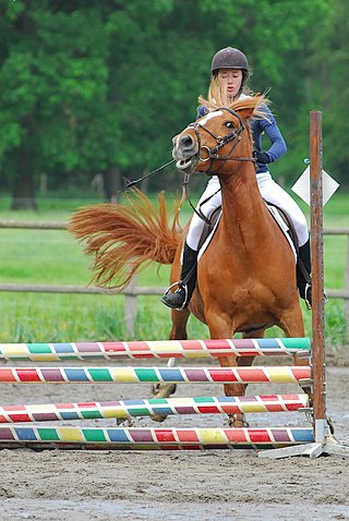 <span class="mw-page-title-main">Refusals and runouts</span> The failure of a horse to jump an obstacle