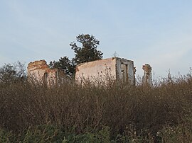 Ruins of the Pipile Popescu manor in Bușca