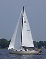 Contessa 26