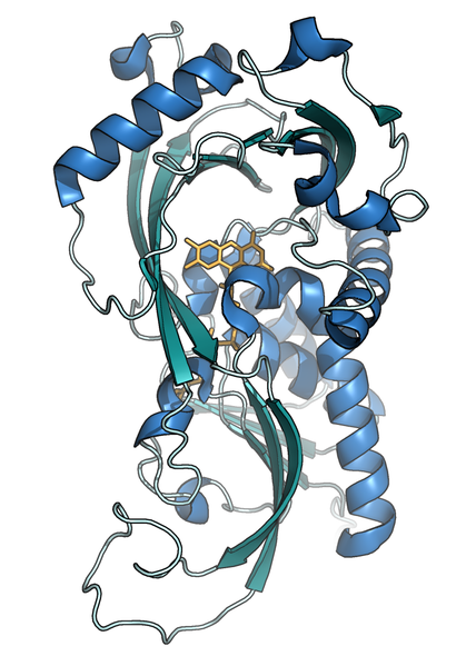 File:Crystal structure of RgDAAO (PDB code 1c0p).png