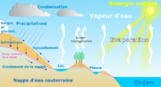 Vignette pour Ruissellement