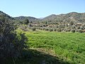 Cyprus countryside in Troodos Mountains hills.jpg