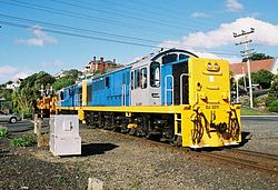 Two DJ class locomotives in service for Dunedin Railways DJ class TGR.jpg