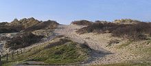 Sand dunes