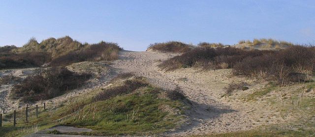 Les dunes de Fort-Mahon-Plage. Commons Wikipedia / [//commons.wikimedia.org/wiki/File:DUNES_FMAHON.jpg?uselang=fr Ricardo Boimare]
