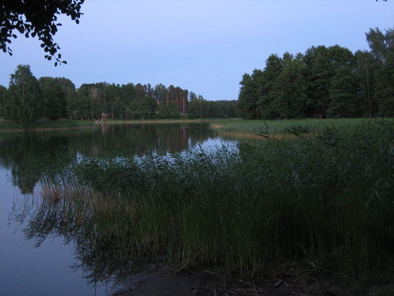 File:Dark light scene Finland.jpg