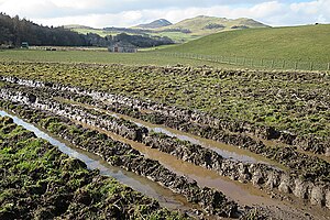 Deep Ruts - geograph.org.uk - 5688304.jpg