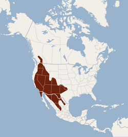 Distribution of Myotis melanorhinus1.png