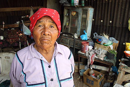 Doña Juanita, a Seri indian medicine woman.