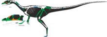 Dracoraptor.PNG