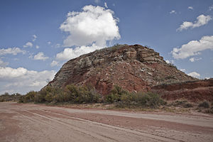 דאפי של שיא גרזה קאונטי Texas.jpg