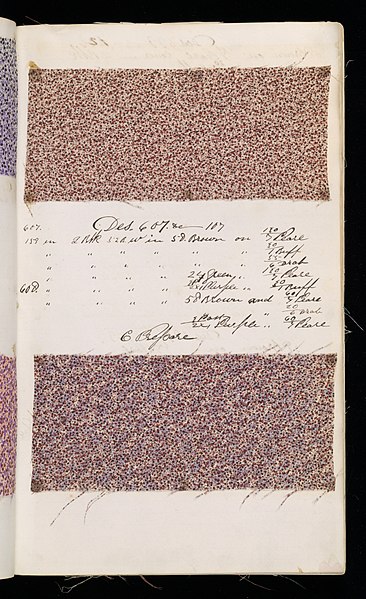 File:Dyer's Record Book (USA), 1870 (CH 18575205-73).jpg