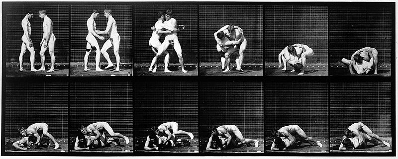 File:E. Muybridge "Animal locomotion", plate Wellcome L0018594.jpg