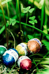 Chocolate Cadbury Easter eggs hidden as part of an egg hunt Easter Egg Hunt (5623253840).jpg