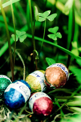 Chocolate Easter eggs hidden as part of an egg hunt