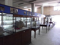 Egyptian Geological Museum by Hatem Moushir 1.JPG