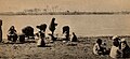Egyptian Type e Scenes. - Washing in the Nile. (n.d.) - front - TIMEA.jpg
