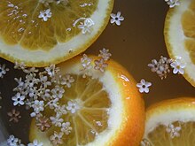 Elderflower cordial steeping Elderflowercordial.jpg