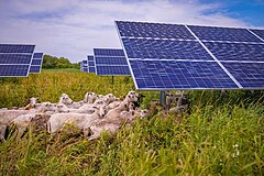 Enel North America's solar farm in Minnesota Enel North America's solar farm in Minnesota.jpg