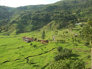 <span class="mw-page-title-main">Chorro El Indio National Park</span>