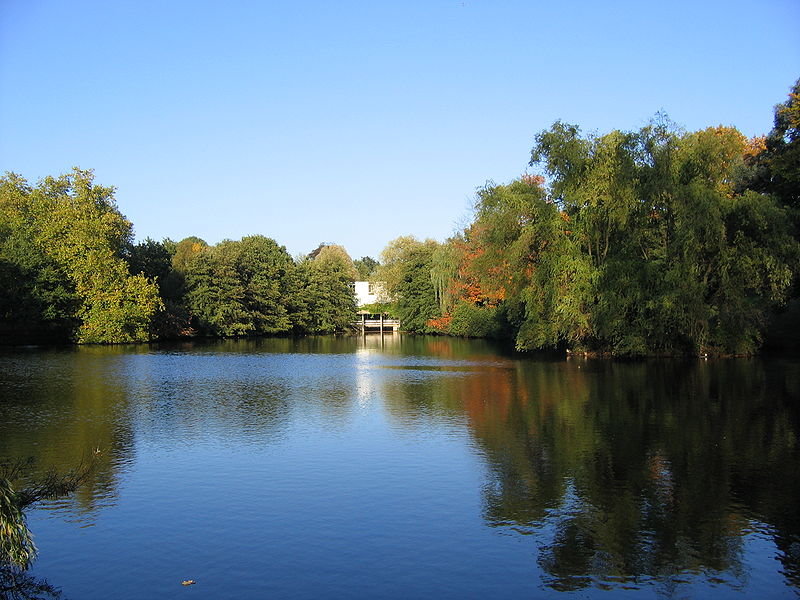 File:Essex Uni lake.jpg