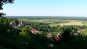 Панорама леса со стороны Бука