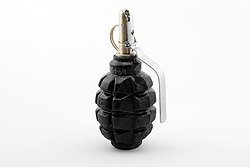https://upload.wikimedia.org/wikipedia/commons/thumb/e/ea/F1_grenade_travmatik_com_01_by-sa.jpg/250px-F1_grenade_travmatik_com_01_by-sa.jpg