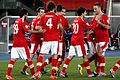 FIFA WC-qualification 2014 - Austria vs Faroe Islands 2013-03-22 (56).jpg