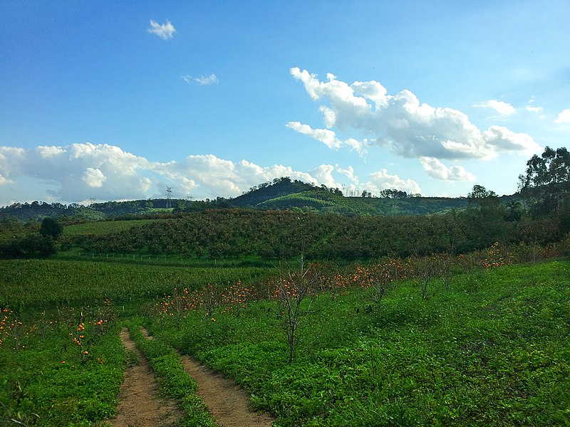 File:Fazendas região de Itatiba. - panoramio.jpg