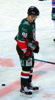 Fedor Malykhin Russian ice hockey player