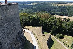 Азалия кенигштайн фото и описание