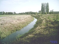 Flot (Vorst-Mühlenbroich (400x300)). Jpg