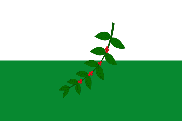 File:Flag of La Celia (Risaralda).svg