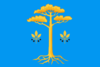 پرچم وورونوفسکایا
