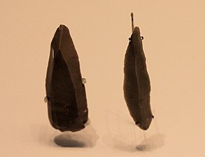 Flint stone points, Boqer Tahtit Cave (Ein Avdat) and el‑Wad Cave, 50000 – 28000 BP (Israel Museum)