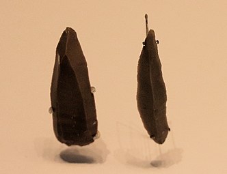 Փոքրիկ սրածայր քարե գործիքներ, Բոքեր Թահթիթ քարանձավ (Էյն Ավդաթ) և ալ-Վադ քարանձավ, մ.թ.ա. 50000-28000 թվականներ (Իսրայելի թանգարան)