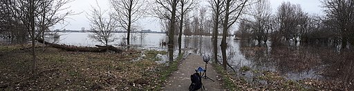 Floodplainsriver Meuse (Maas)