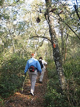 Turkey Creek Walk  Nature Trail – Florida Hikes