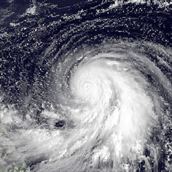 Typhoon Forrest near peak intensity on September 22.