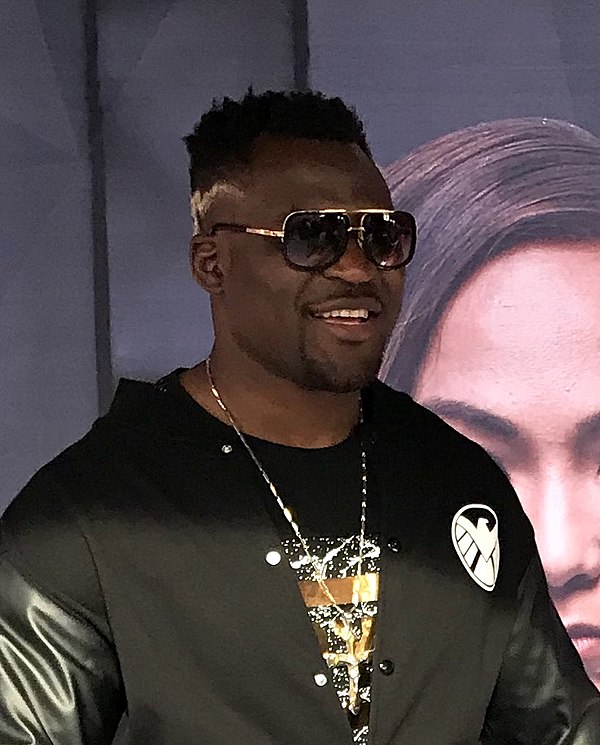 Ngannou in 2017