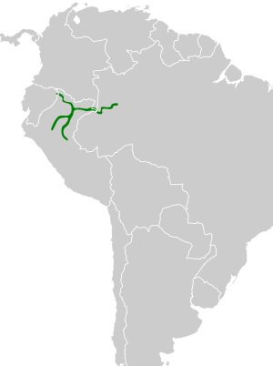 Furnarius torridus map.svg