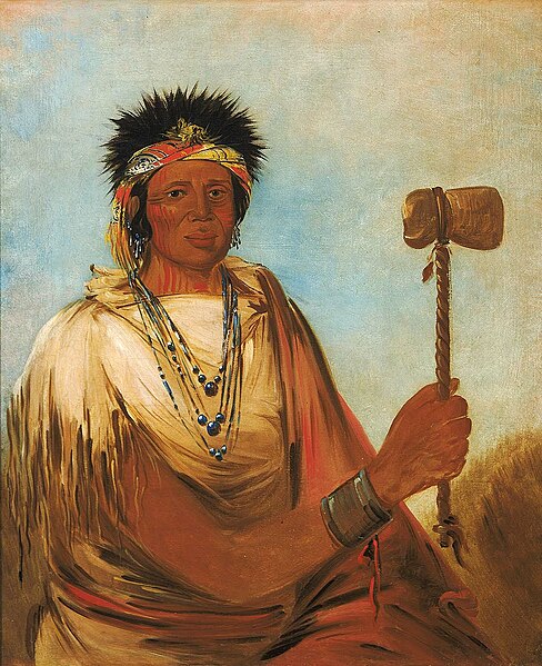 george catlin - image 8