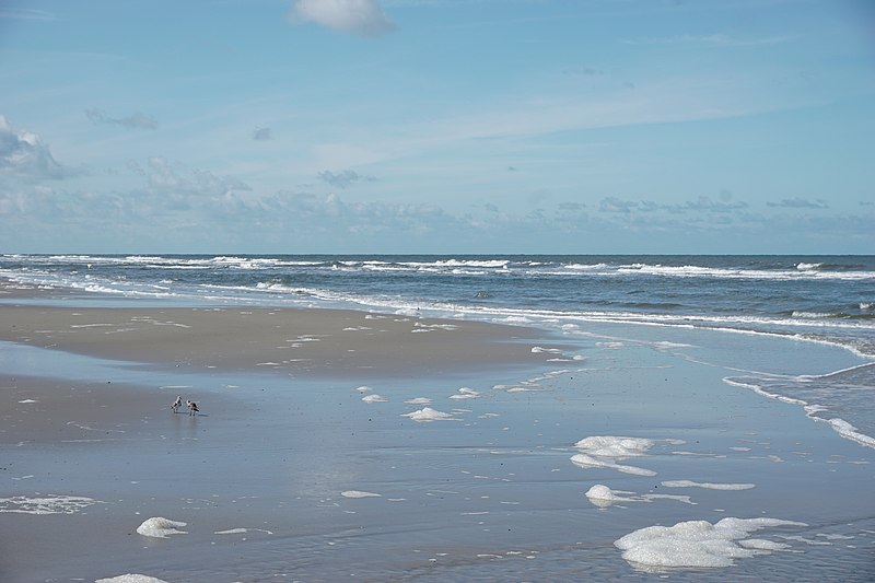 File:Gezeiten im schleswig-holsteinischen Wattenmeer.jpg