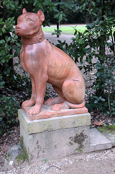 Molossus dog. Terracotta statue. Boboli Gardens, Italy