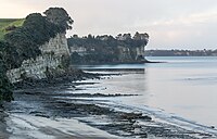 Granny's Bay, Long Bay Regional Park.jpg