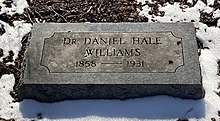 daniel hale williams family